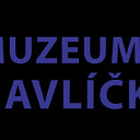 Muzeum Vysočiny Havlíčkův Brod, příspěvková organizace